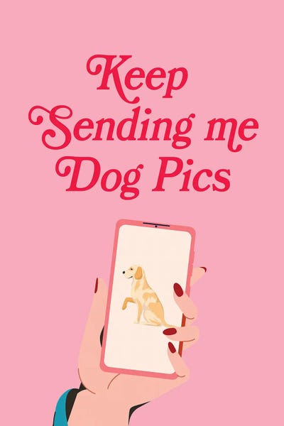 Jania Sharipzhanova: Keep Sending Me Dog Pics by Jania Sharipzhanova