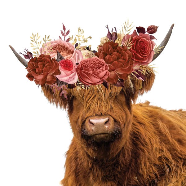 Jania Sharipzhanova: Highland Cow In Flower Garland by Jania Sharipzhanova
