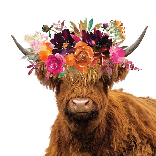 Jania Sharipzhanova: Highland Cow by Jania Sharipzhanova