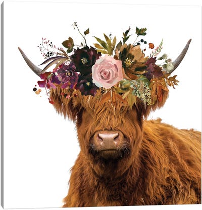 Scottish Highland Cow Canvas Art Print - Cow Art