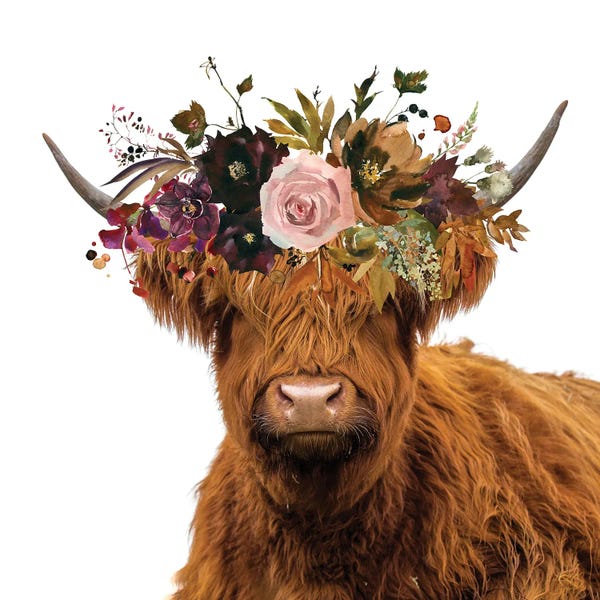 Jania Sharipzhanova: Scottish Highland Cow by Jania Sharipzhanova