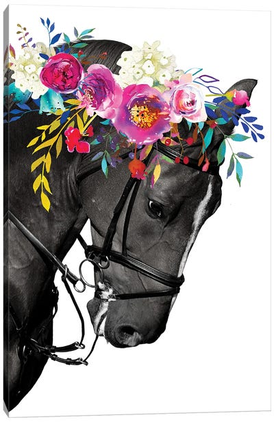 Horse Head Wall Art Canvas Art Print - Jania Sharipzhanova
