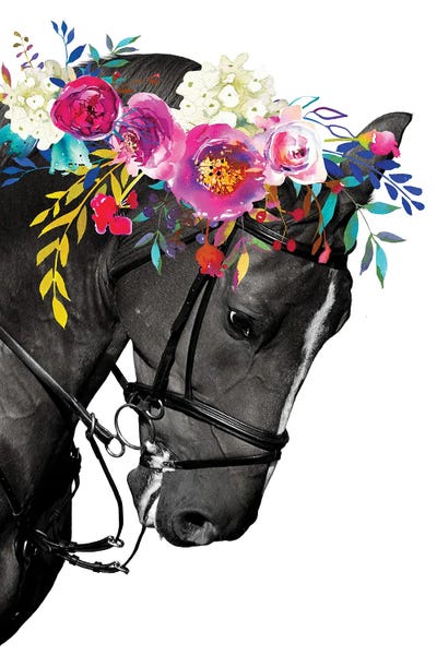 Jania Sharipzhanova: Horse Head Wall Art by Jania Sharipzhanova