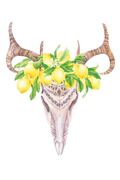 Jania Sharipzhanova: Lemons Bull Skull Print by Jania Sharipzhanova