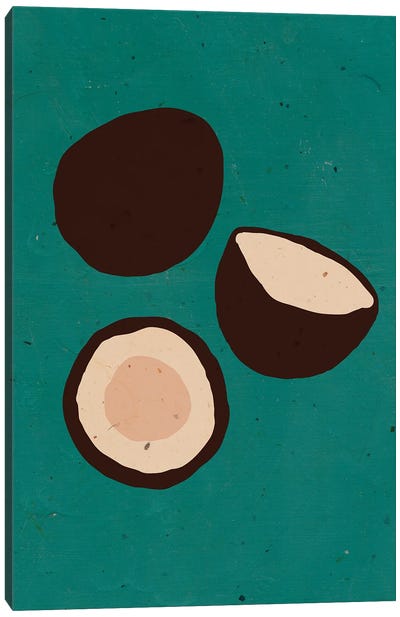 Coconuts On Turquoise Canvas Art Print