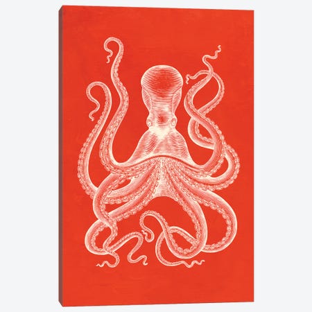 Octopus On Coral Canvas Print #SHZ582} by Jania Sharipzhanova Art Print