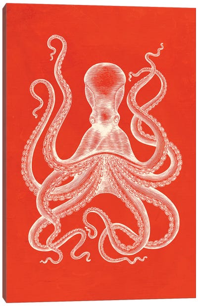 Octopus On Coral Canvas Art Print - Jania Sharipzhanova