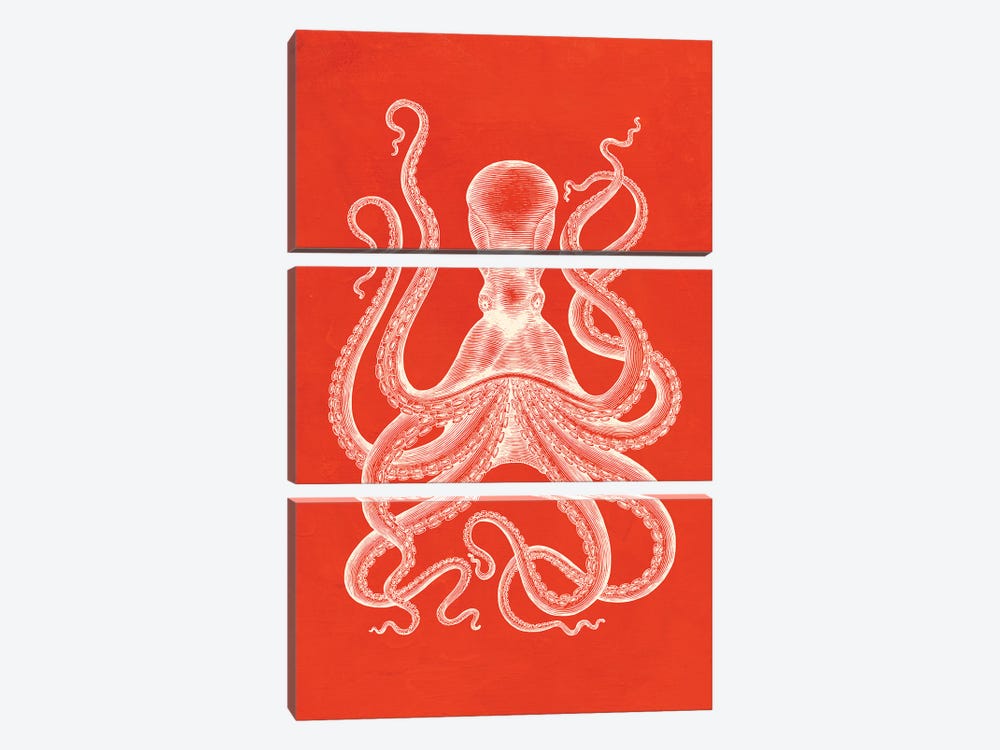 Octopus On Coral by Jania Sharipzhanova 3-piece Canvas Artwork
