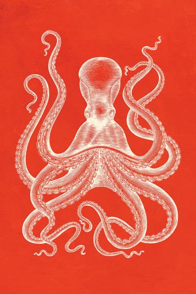 Jania Sharipzhanova: Octopus On Coral by Jania Sharipzhanova