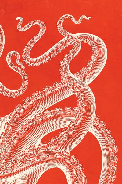 Octopi: Kraken On Coral by Jania Sharipzhanova