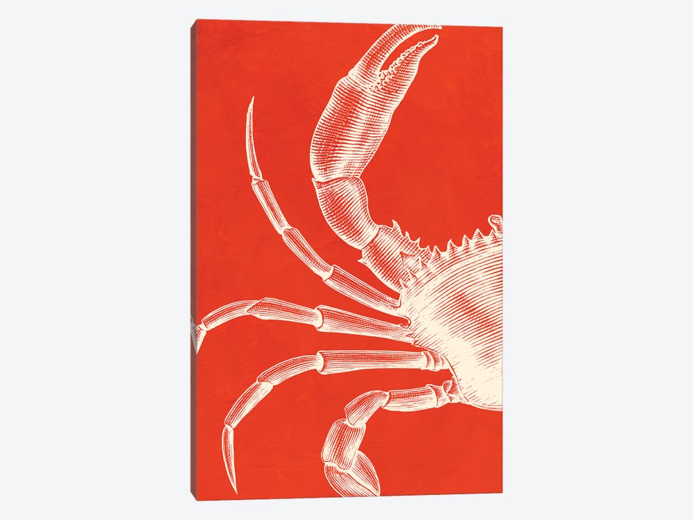 Crab On Coral by Jania Sharipzhanova 1-piece Canvas Artwork