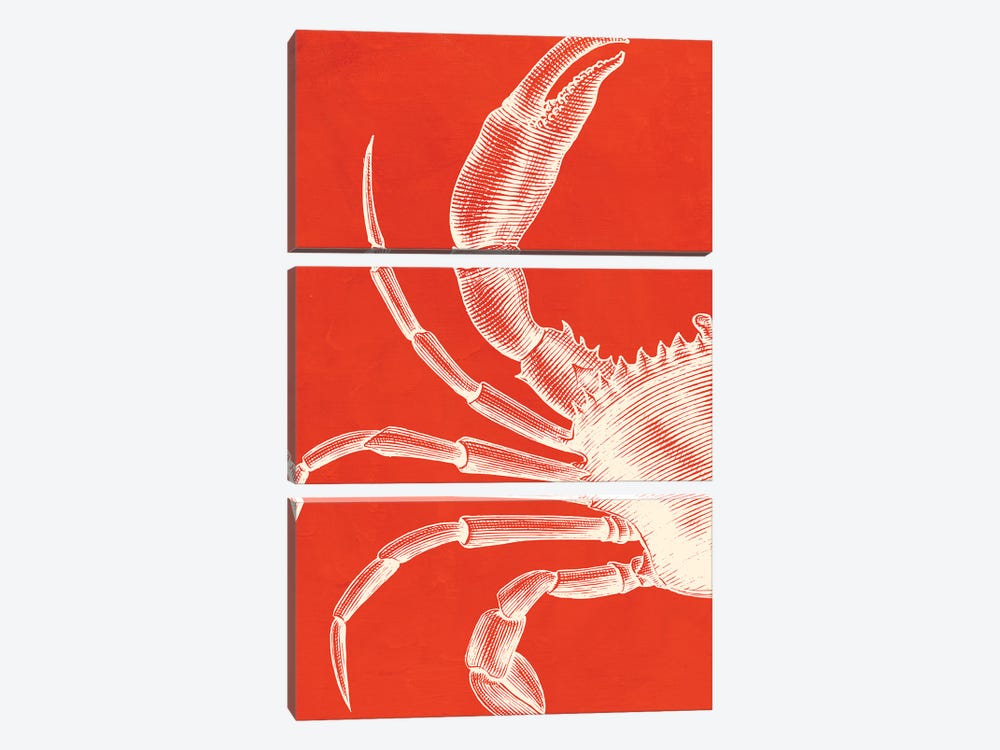 Crab On Coral by Jania Sharipzhanova 3-piece Canvas Artwork