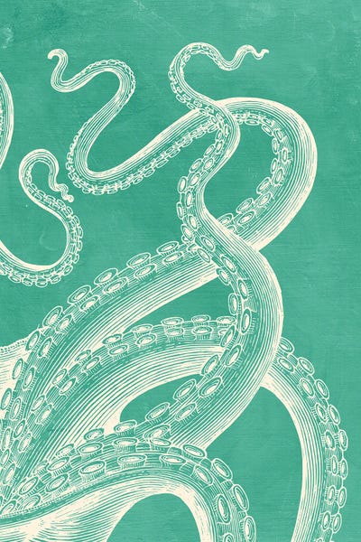 Octopus On Mint by Jania Sharipzhanova canvas print