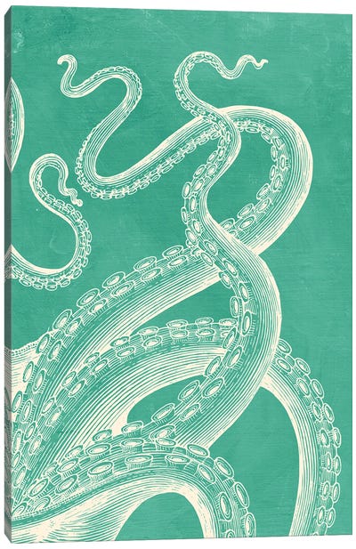 Octopus On Mint Canvas Art Print - Jania Sharipzhanova
