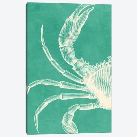 Crab On Mint Canvas Print #SHZ586} by Jania Sharipzhanova Canvas Artwork