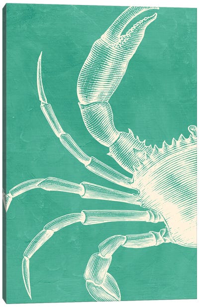 Crab On Mint Canvas Art Print - Crab Art