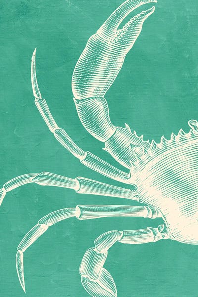 Jania Sharipzhanova: Crab On Mint by Jania Sharipzhanova