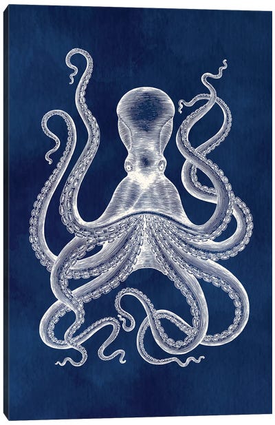 Hamptons Octopus Canvas Art Print - Octopus Art