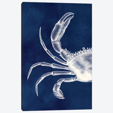 Hamptons Crab Canvas Print #SHZ589} by Jania Sharipzhanova Art Print
