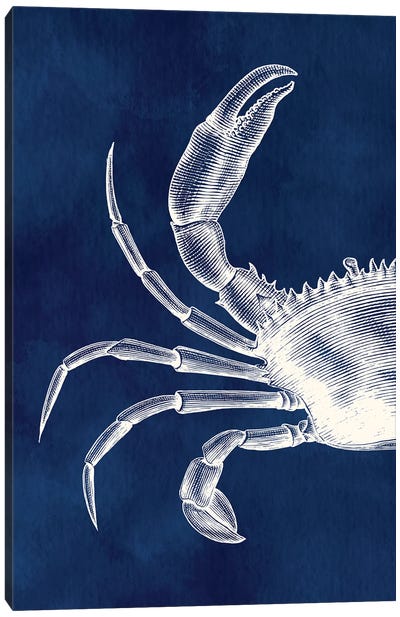 Hamptons Crab Canvas Art Print - Crab Art