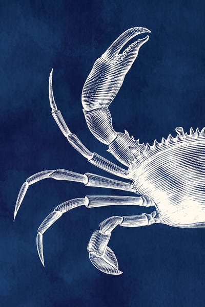 Crabs: Hamptons Crab by Jania Sharipzhanova