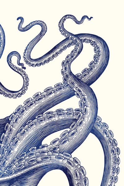 Hamptons Tentacles by Jania Sharipzhanova framed canvas print