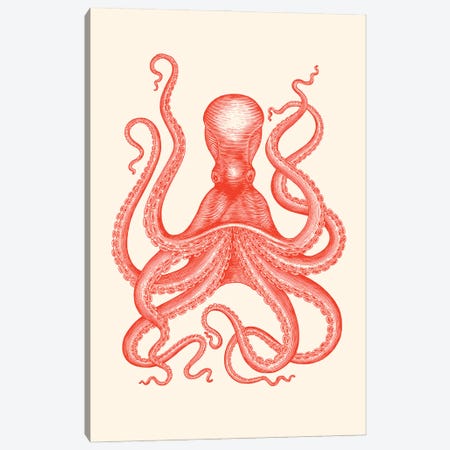 Hamptons Coral Octopus Canvas Print #SHZ591} by Jania Sharipzhanova Canvas Wall Art