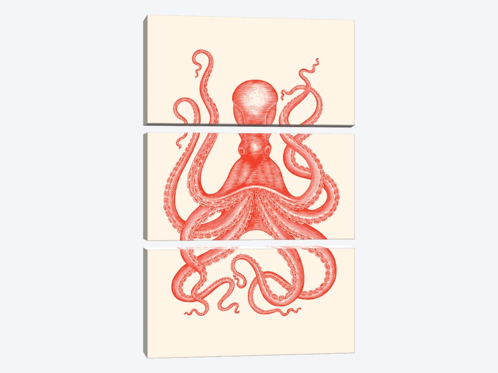 Hamptons Coral Octopus by Jania Sharipzhanova 3-piece Canvas Art