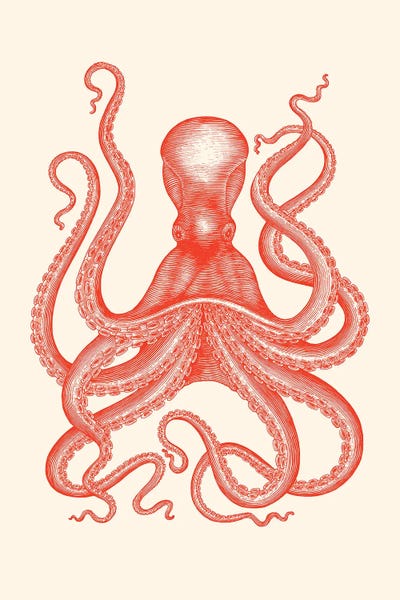 Octopi: Hamptons Coral Octopus by Jania Sharipzhanova