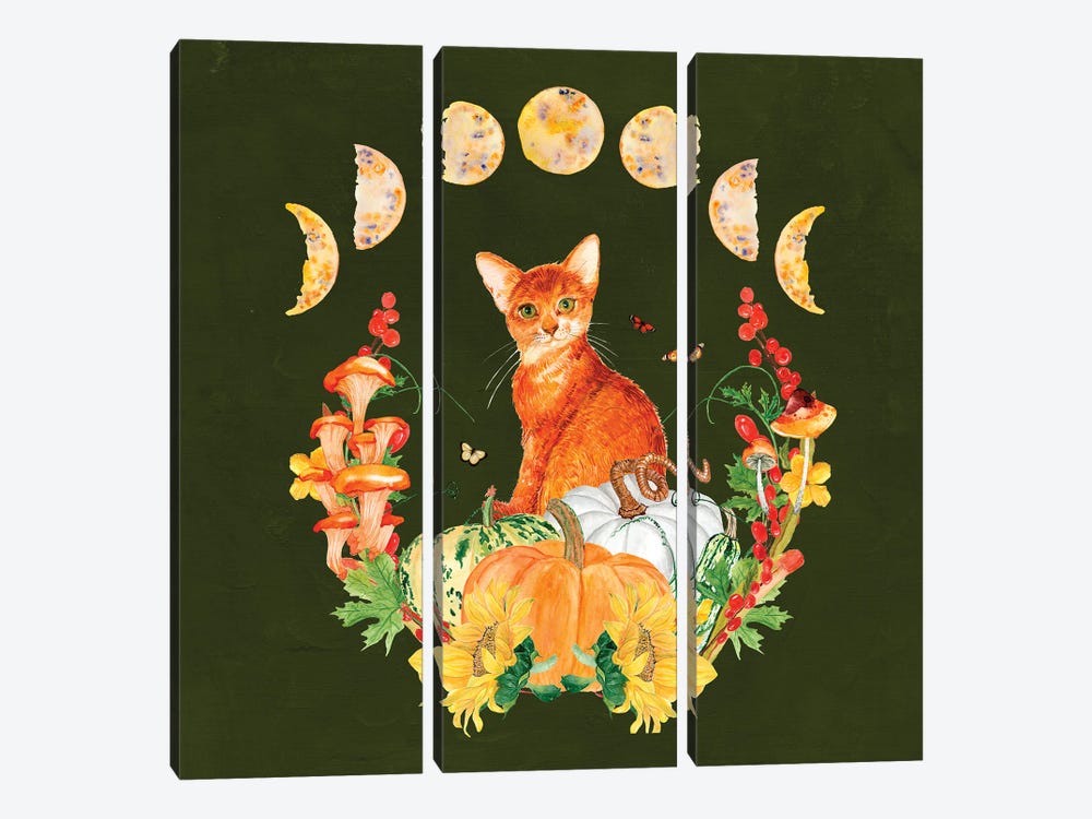 Cottagecore Orange Cat by Jania Sharipzhanova 3-piece Canvas Art