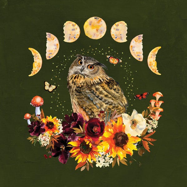 Mushrooms: Cottagecore Owl by Jania Sharipzhanova