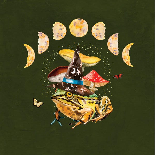 Wizards: Cottagecore Wizard Frog by Jania Sharipzhanova