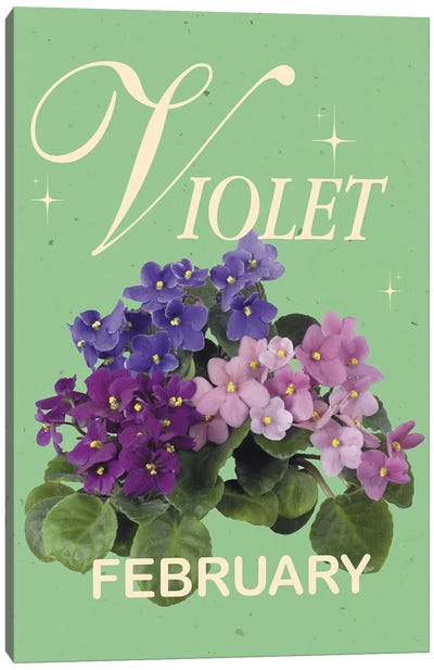 February Birth Flower Violet Canvas Art Print - Violet Art