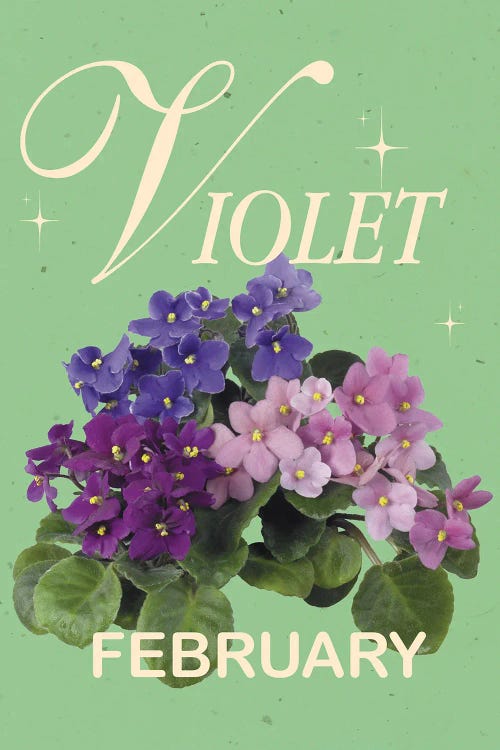 February Birth Flower Violet