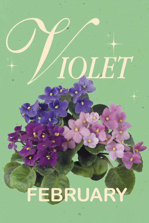 February Birth Flower Violet by Jania Sharipzhanova wall art
