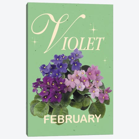 February Birth Flower Violet Canvas Print #SHZ685} by Jania Sharipzhanova Canvas Print