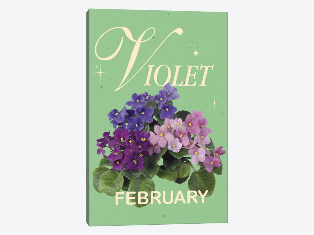 February Birth Flower Violet by Jania Sharipzhanova 1-piece Canvas Print