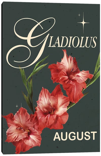 August Birth Flower Gladiolus Canvas Art Print - Jania Sharipzhanova