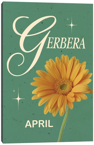 April Birth Flower Gerbera Canvas Art Print - Daisy Art