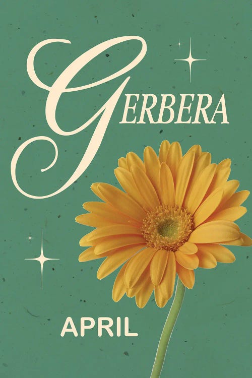 April Birth Flower Gerbera