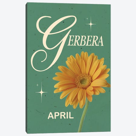 April Birth Flower Gerbera Canvas Print #SHZ687} by Jania Sharipzhanova Canvas Print