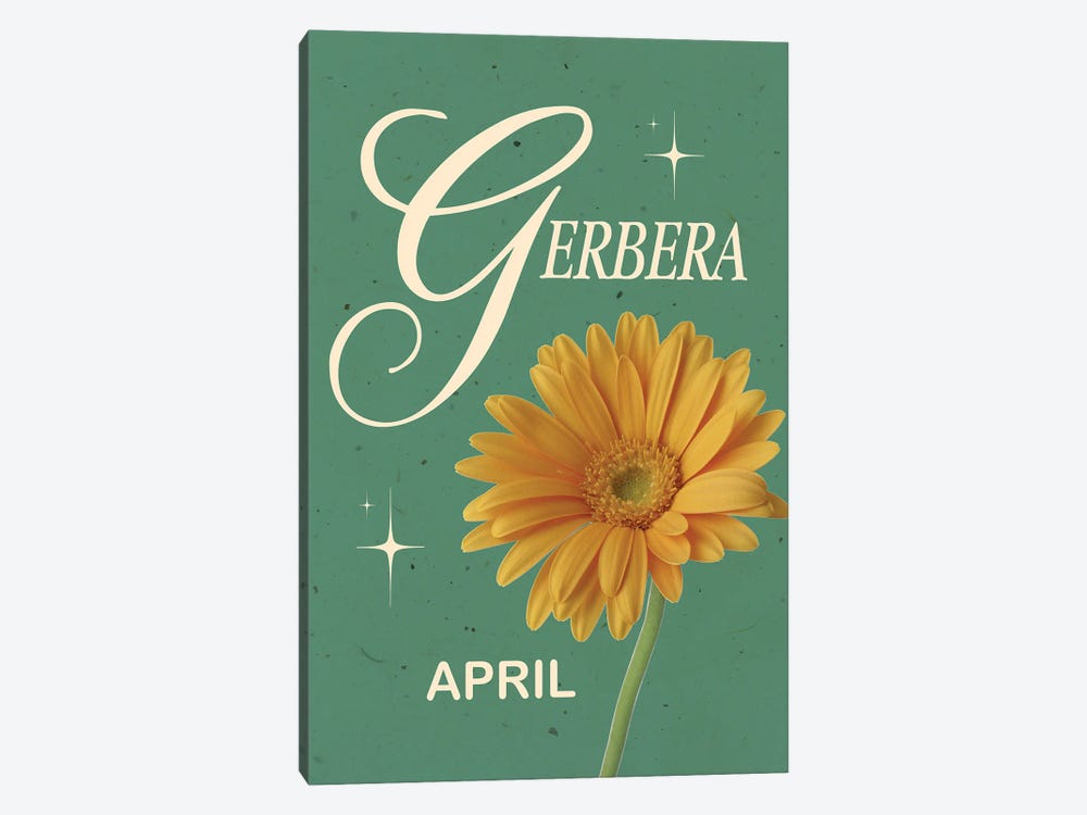 April Birth Flower Gerbera by Jania Sharipzhanova 1-piece Canvas Print