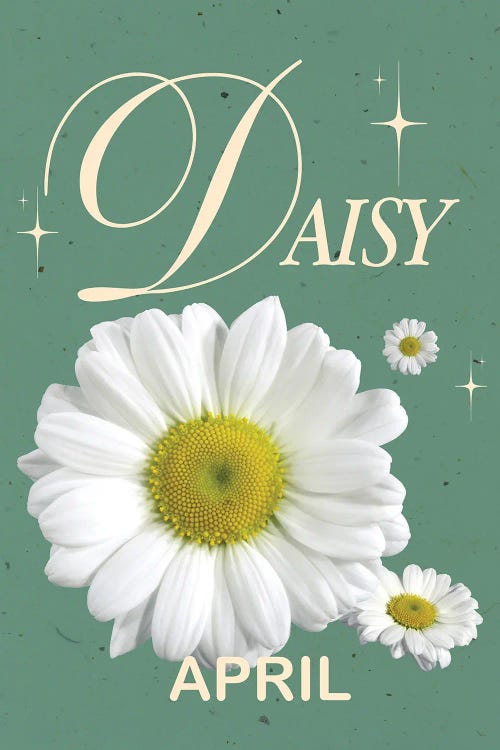 April Birth Flower Daisy