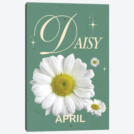 April Birth Flower Daisy Canvas Print #SHZ688} by Jania Sharipzhanova Canvas Artwork