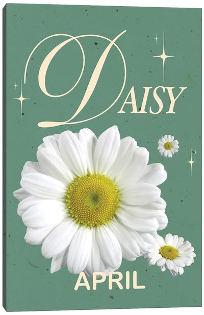 April Birth Flower Daisy Canvas Art Print - Jania Sharipzhanova
