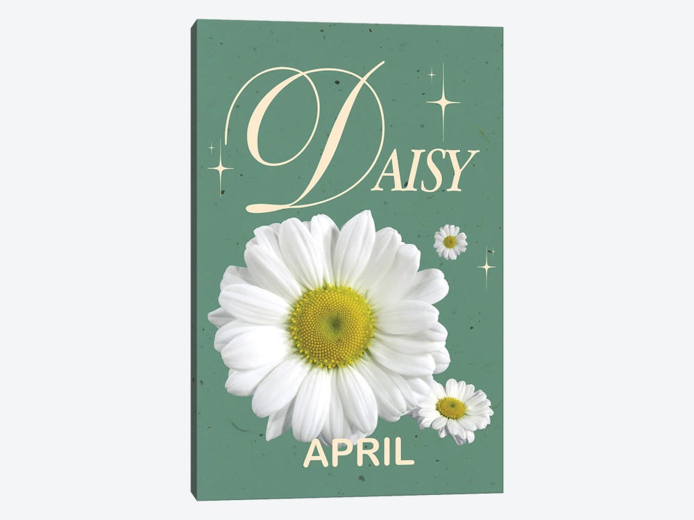 April Birth Flower Daisy by Jania Sharipzhanova 1-piece Canvas Art
