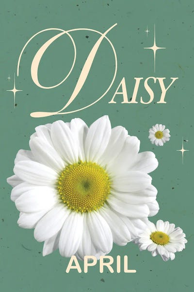 Daisies: April Birth Flower Daisy by Jania Sharipzhanova