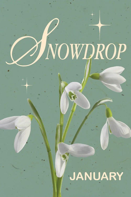 January Birth Flower Snowdrop