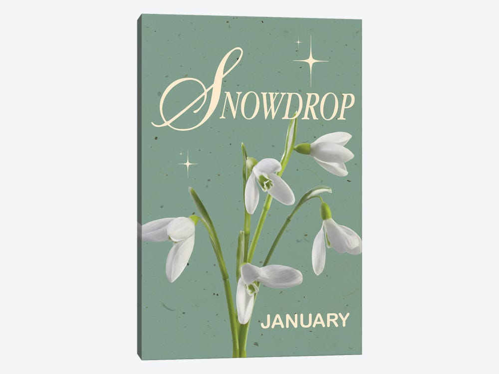 January Birth Flower Snowdrop by Jania Sharipzhanova 1-piece Canvas Print