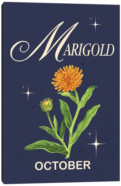 October Birth Flower Marigold Canvas Art Print